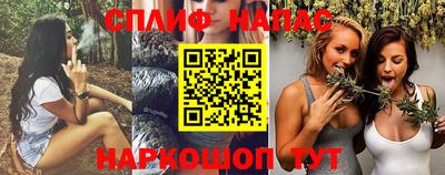 прущие грибы Апшеронск