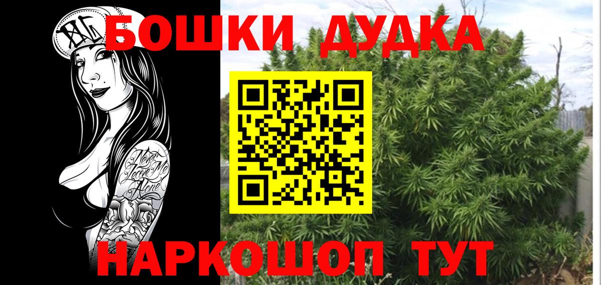 Конопля планчик Ачхой-Мартан